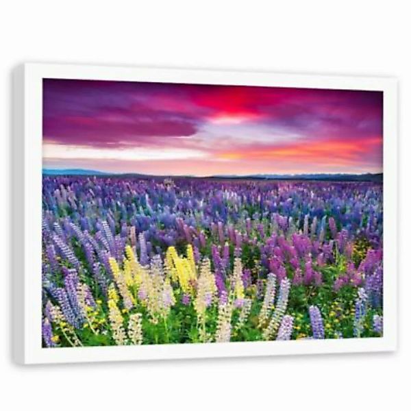 FEEBY® Kunst lila Blumen Leinwandbilder bunt Gr. 60 x 40 günstig online kaufen