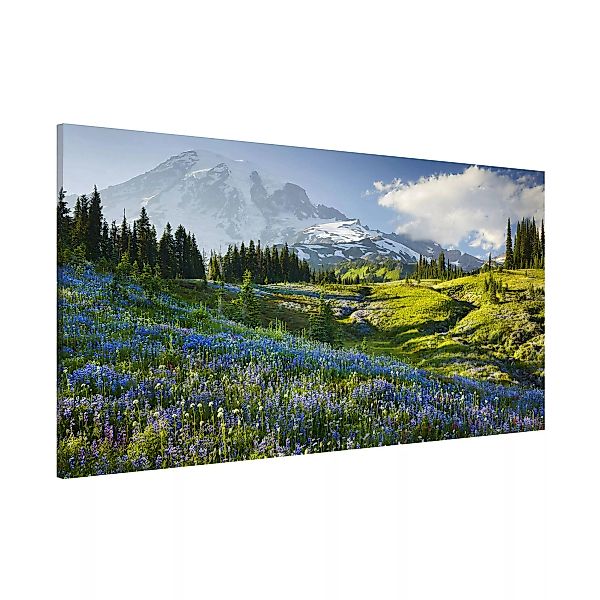 Magnettafel Natur & Landschaft - Querformat 2:1 Bergwiese mit blauen Blumen günstig online kaufen