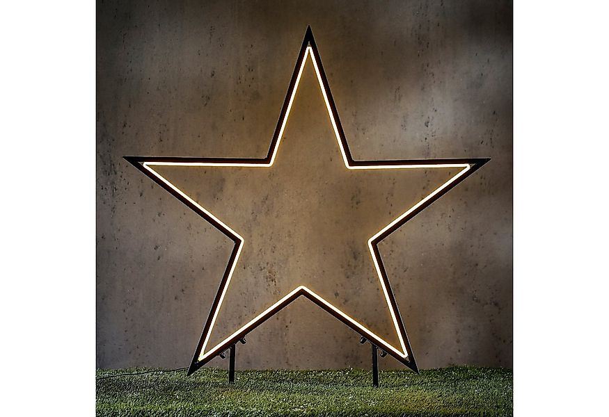 edelman LED Stern Garden d light Neon Gartenstecker schwarz, LED fest integ günstig online kaufen