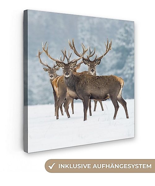 OneMillionCanvasses® Leinwandbild Hirsche - Tiere - Schnee - Winter - Lands günstig online kaufen
