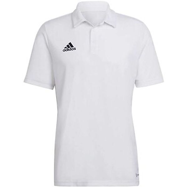 adidas Performance Poloshirt ENT22 POLO günstig online kaufen