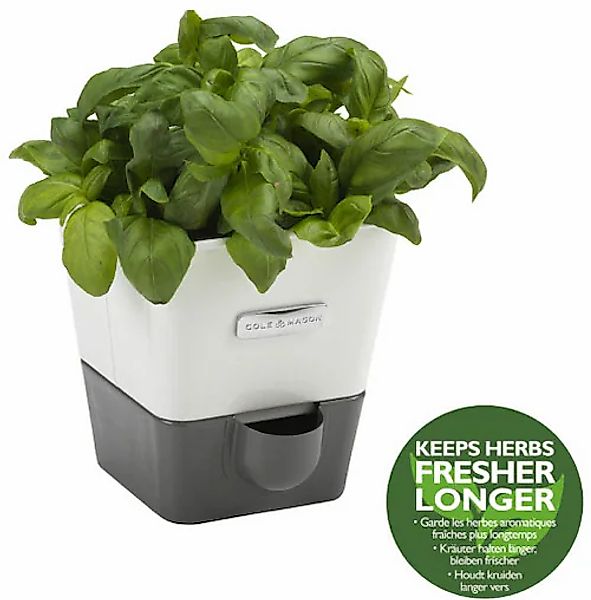 Cole & Mason Kräutertopf Kunststoff, mit Bewässerungssystem günstig online kaufen