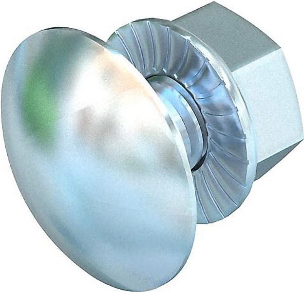 OBO Bettermann Vertr Flachrundschraube FRSB 6x20 G günstig online kaufen