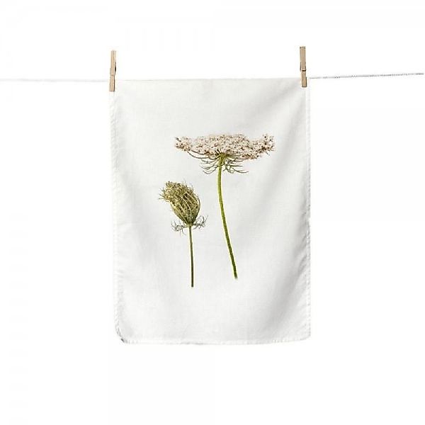 Simply Flowers Geschirrtuch Geschirrtuch Wilde Möhre günstig online kaufen