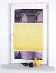 Liedeco Plissee "Klemmfix Plissee YOUNG COLOURS" Lichtschutz ohne Bohren in günstig online kaufen