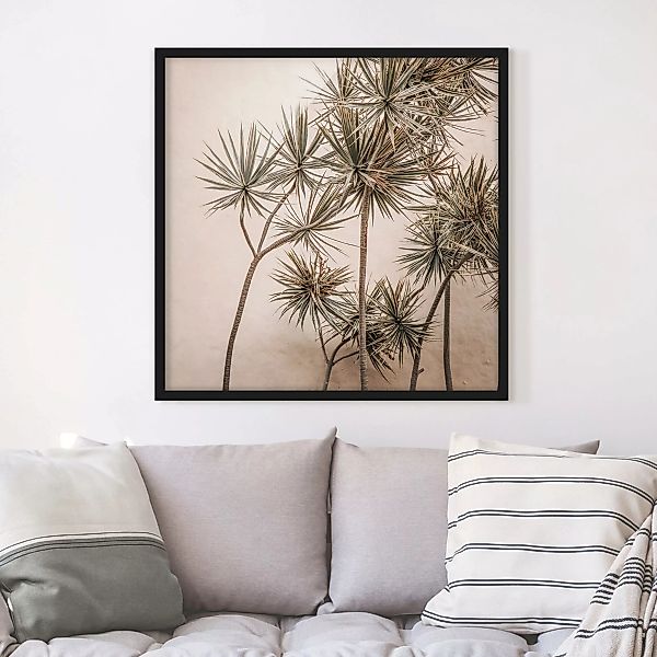Bild mit Rahmen Sonnengeküsste Palmen günstig online kaufen