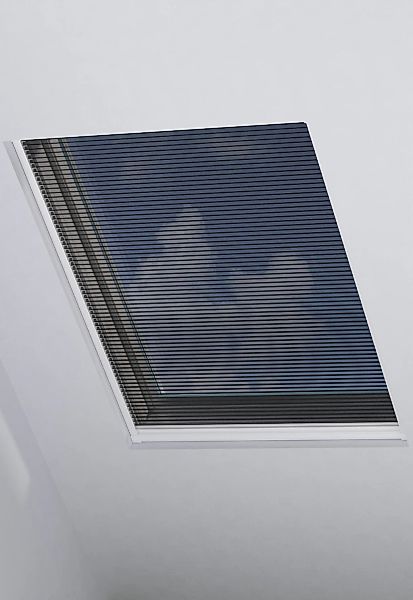 my home Insektenschutzplissee "Mary" transparent mit Bohren verspannt gesch günstig online kaufen