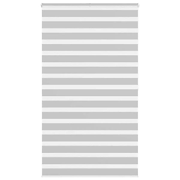 vidaXL Doppelrollo Hellgrau 120x200 cm Stoffbreite 115,9 cm Polyester 40144 günstig online kaufen