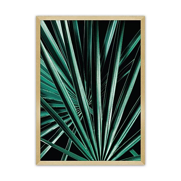 Poster Dark Palm Tree, 70 x 100 cm, Rahmen wählen: gold günstig online kaufen