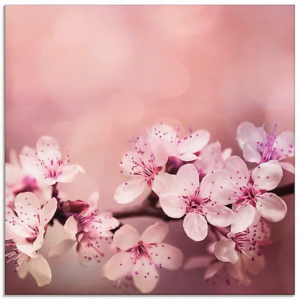 Artland Glasbild »Kirschblüten« 1 Stk. tlg. in verschiedenen Größen günstig online kaufen