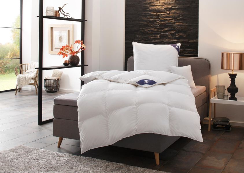 SPESSARTTRAUM Daunenbettdecke + Federkissen "First Class" Sparset: 5 Wärmek günstig online kaufen