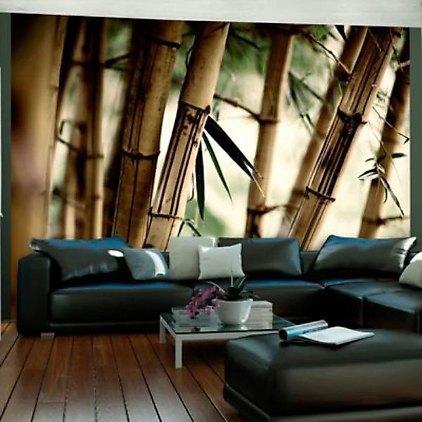 artgeist Fototapete Fog and bamboo forest mehrfarbig Gr. 250 x 193 günstig online kaufen