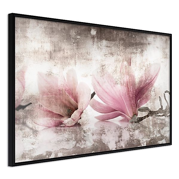 Poster - Picked Magnolias günstig online kaufen