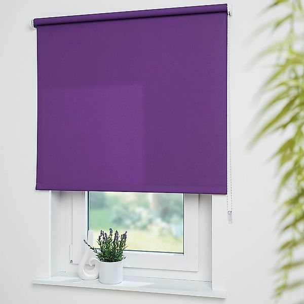 Seitenzugrollo Uni, Liedeco, Lichtschutz, mit Bohren, günstig online kaufen