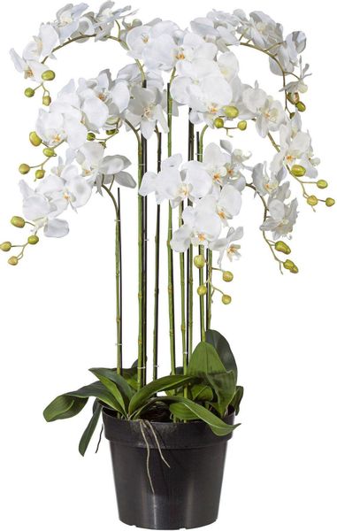 Kunstpflanze Orchidee, Creativ green, Höhe 110 günstig online kaufen