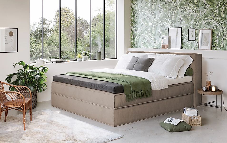 LeGer Home by Lena Gercke Boxspringbett "Addyson", (Härtegrade H2, H3 und H günstig online kaufen