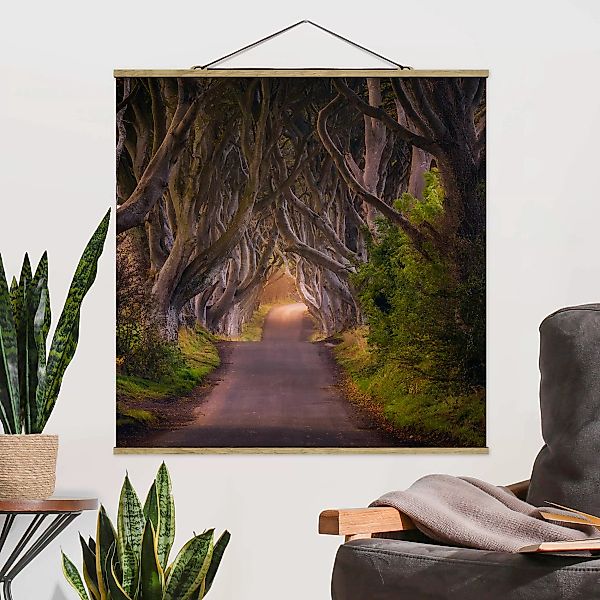 Stoffbild Landschaft mit Posterleisten - Quadrat Tunnel aus Bäumen günstig online kaufen