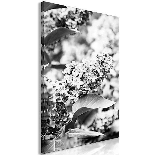 Wandbild - Monochrome Lilac (1 Part) Vertical günstig online kaufen