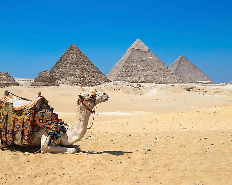 Fototapete "PyramidenGizeh" 4,00x2,50 m / Strukturvlies Klassik günstig online kaufen