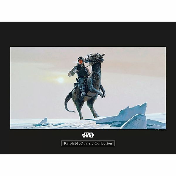 Komar Poster Star Wars Classic RMQ Hoth Tauntaun Star Wars B/L: ca. 40x30 c günstig online kaufen