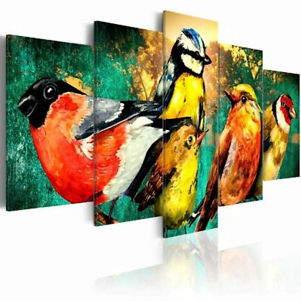 artgeist Wandbild Birds Meeting mehrfarbig Gr. 200 x 100 günstig online kaufen
