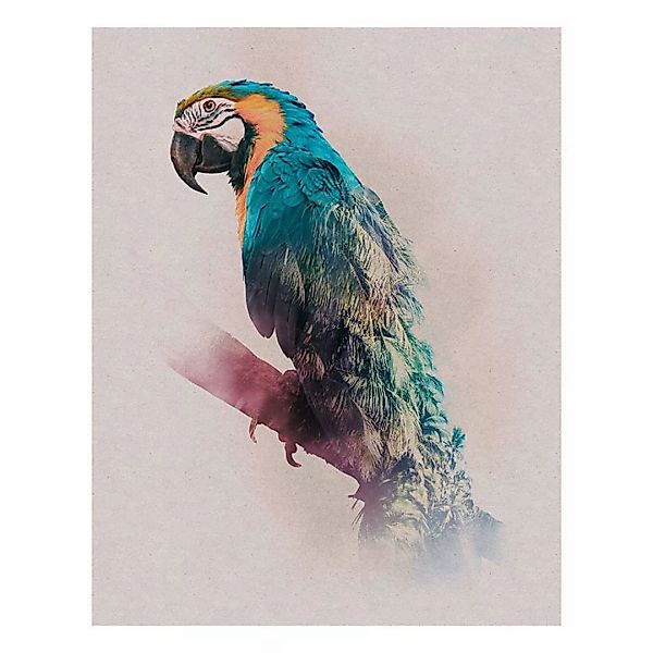 Komar Poster Animals Paradise Parrot Tiere B/L: ca. 40x50 cm günstig online kaufen