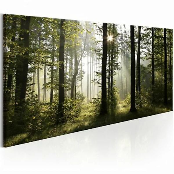artgeist Wandbild Beautiful Morning mehrfarbig Gr. 70 x 35 günstig online kaufen