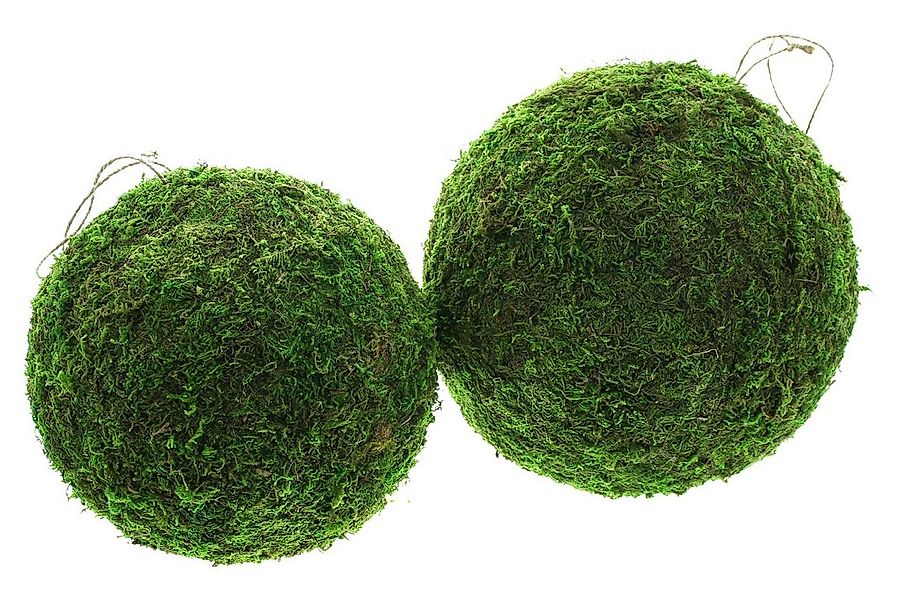 Dekoleidenschaft Dekohänger "Mooskugel" Hängedeko, Dekokugeln, Fensterdeko, günstig online kaufen
