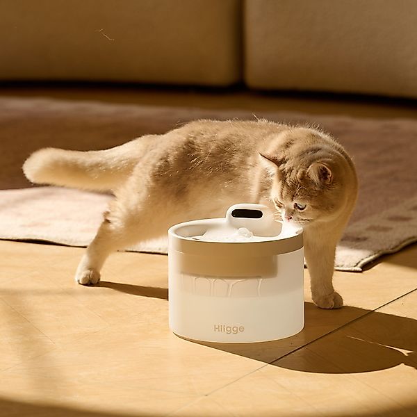 Hiigge Trinkbrunnen Snowball SE für katze günstig online kaufen