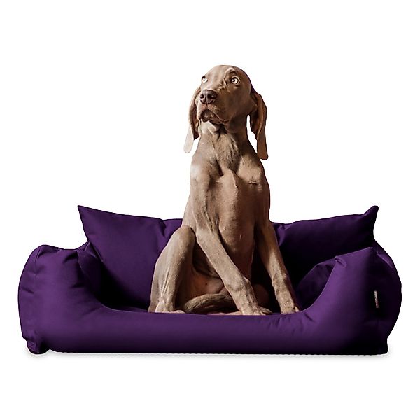 tierlando® Tierbett NEMO Hundebett Hundesofa S günstig online kaufen