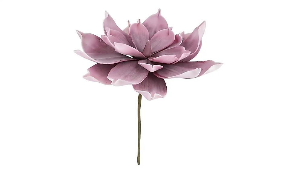 Soft Flower Aloe   ¦ rosa/pink ¦ Kunststoff,Metall ¦ Maße (cm): H: 30  Ø: 2 günstig online kaufen