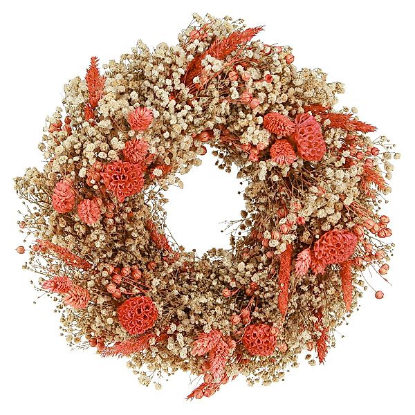 Trockenblume Deko Kranz Trockenblumen Orange Creme günstig online kaufen