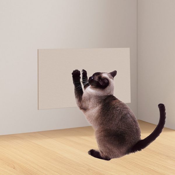 REDOM Kratzmatte Kratzteppich selbsthaftend Katze Wand, günstig online kaufen