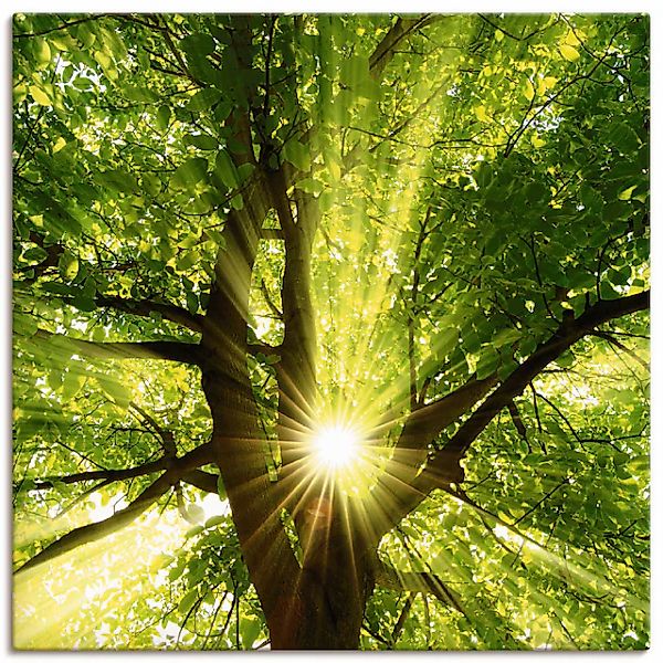 Artland Wandbild »Sonne strahlt explosiv durch den Baum« Bäume 1 Stk. tlg. günstig online kaufen