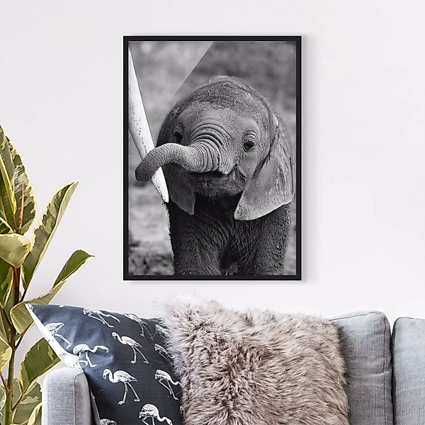 Bild mit Rahmen Kinderzimmer - Hochformat Elefantenbaby günstig online kaufen