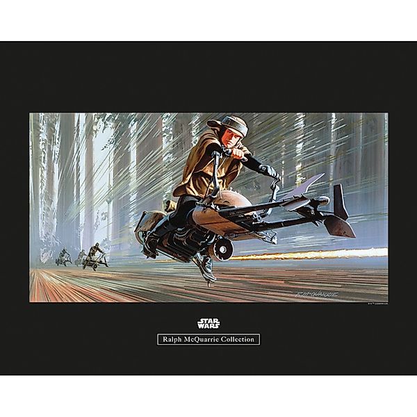 Komar Bild "Star Wars Classic RMQ Endor Speeder" Star Wars 1 Stk. tlg. Wand günstig online kaufen