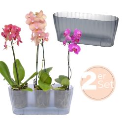GarPet Blumentopf 2x Orchideentopf Transparent Orchideen günstig online kaufen