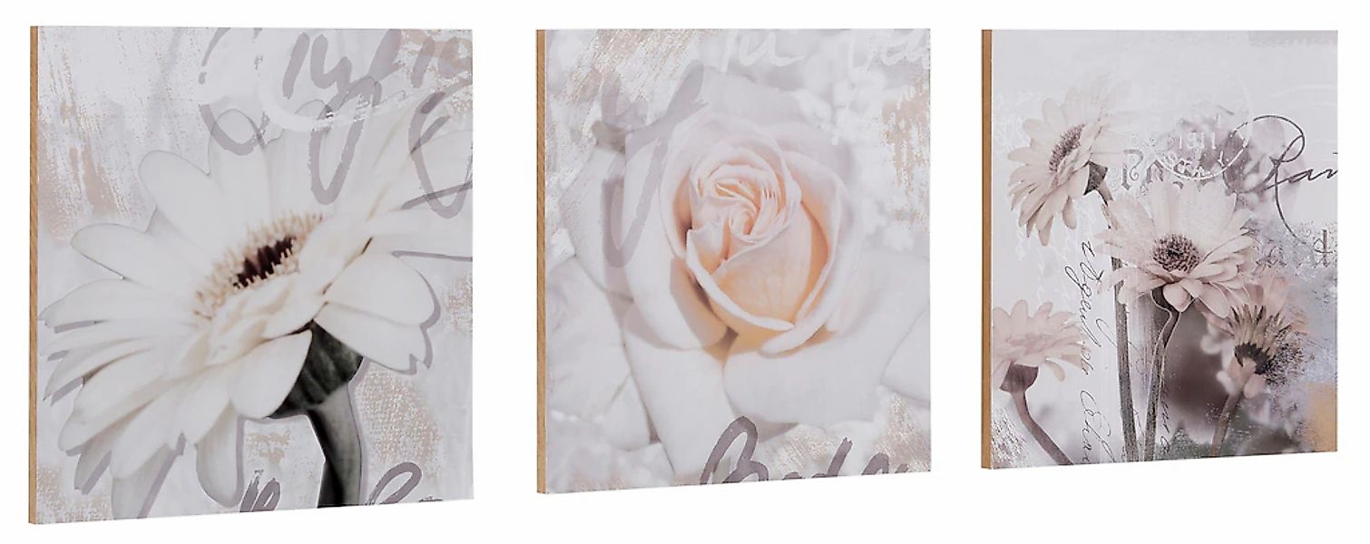 Home affaire Kunstdruck "S., D.: Gerberas Detail", Blumen, 3-tlg., je 29/29 günstig online kaufen