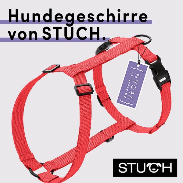 STUCH Hunde-Geschirr STUCH - Hundegeschirr Vegan günstig online kaufen