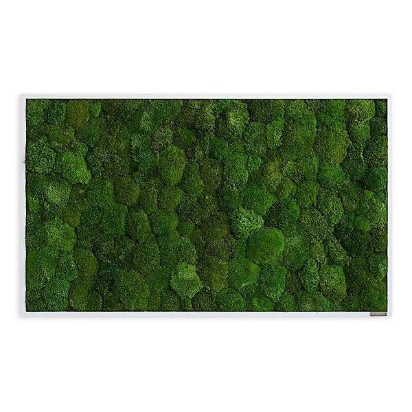 Moosbild im Kugelmoosdesign | 100x60cm | Vollholz Rahmen weiß günstig online kaufen