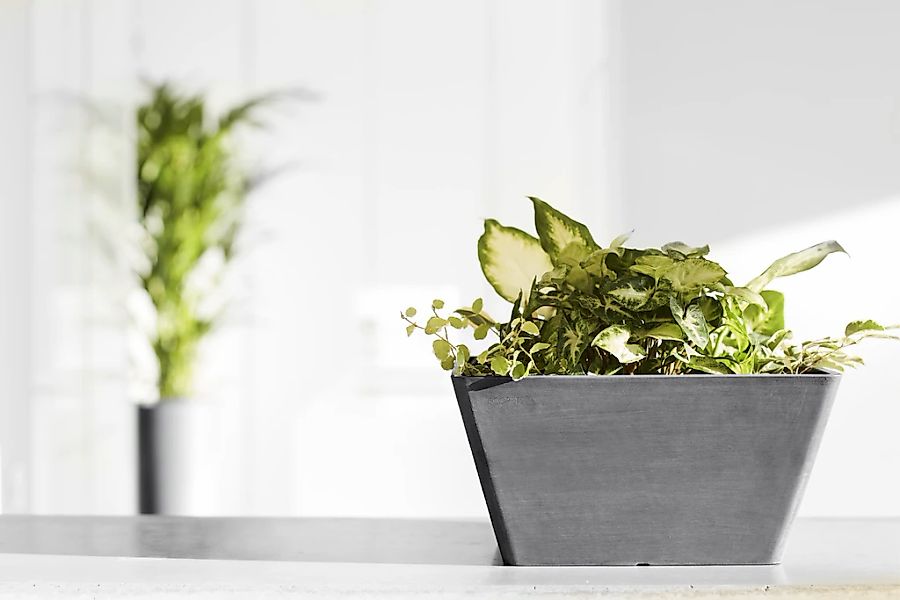 ECOPOTS Blumentopf BERLIN Grey, BxTxH: 31x31x15,5 günstig online kaufen