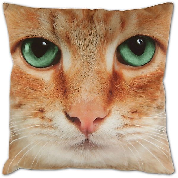 Bestlivings Kissenhülle Fotodruck 40 x 40 cm Katze Beige Ohne Füllung günstig online kaufen