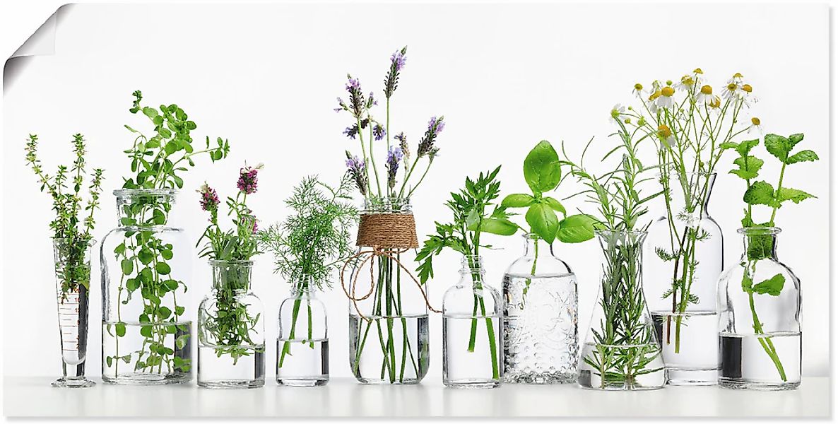 Artland Wandbild "Öle mit Kräutern" Kräuterbilder 1 Stk. tlg. als Alubild, günstig online kaufen