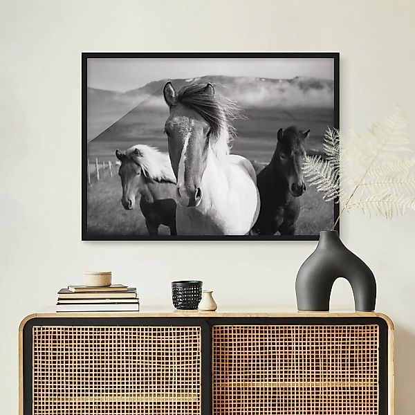 Bild mit Rahmen Wildpferde Schwarz-Weiß günstig online kaufen