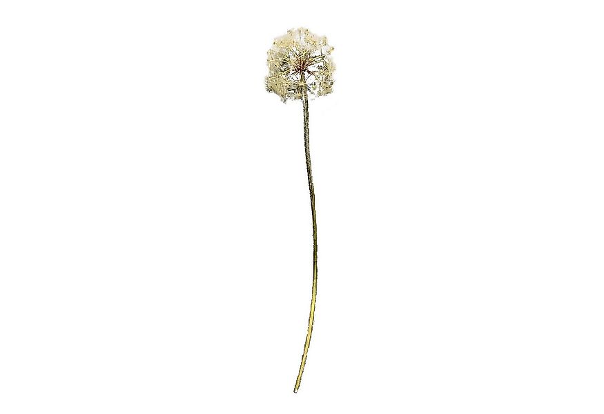 Kunstblume Kunstblume Pusteblume Flora, HTI-Living, Höhe 91 cm, Dekoblume günstig online kaufen