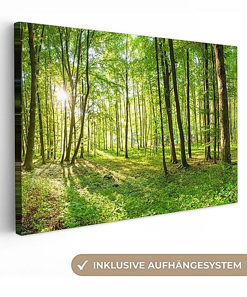OneMillionCanvasses® Leinwandbild Natur - Bäume - Wald - Grün - Sonnenlicht günstig online kaufen
