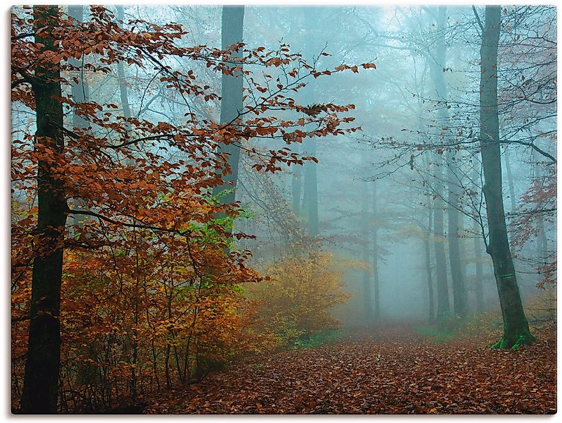 Artland Wandbild "Nebel im Herbstwald", Wald, (1 St.), als Leinwandbild, Po günstig online kaufen