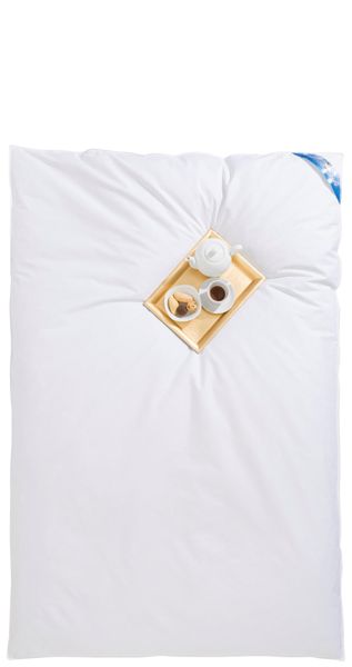 RIBECO Federbettdecke Leon, Ballonbettdecke 135x200, Füllung: günstig online kaufen