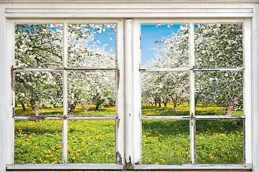 queence Leinwandbild »Apfelbäume«, Bäume-Natur-Wiesen & Bäume-Fensterblick, günstig online kaufen