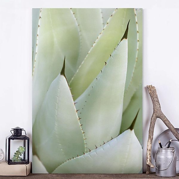 Leinwandbild Botanik - Hochformat Aloe günstig online kaufen